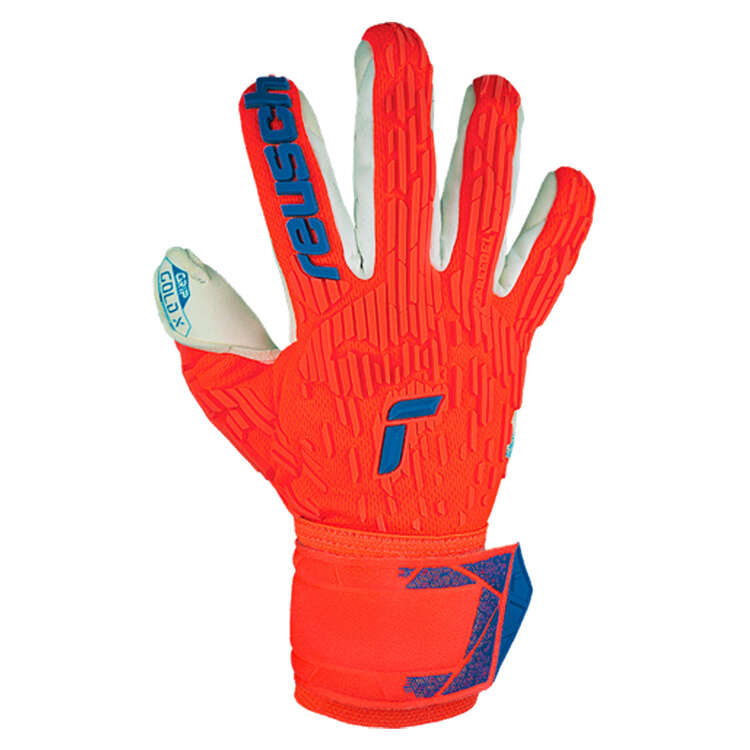 Reusch Attrakt Gold X Freegel Goalkeeper Gloves