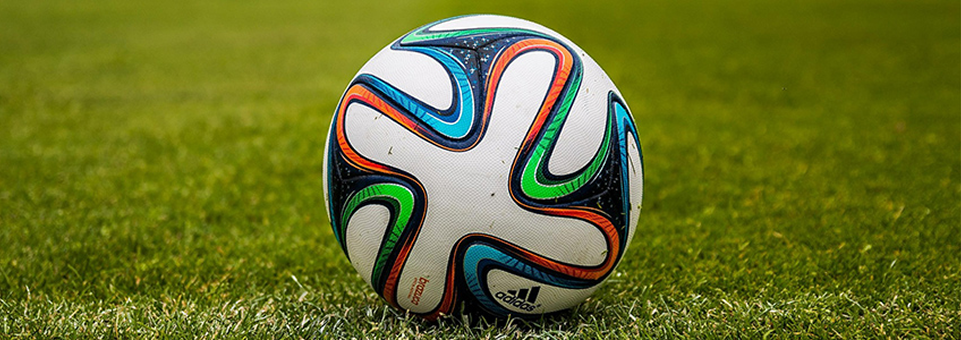 Soccer Ball on a field